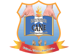 Logo de CENTRO ACADÉMICO NUESTRA EXCELENCIA (CANE)
